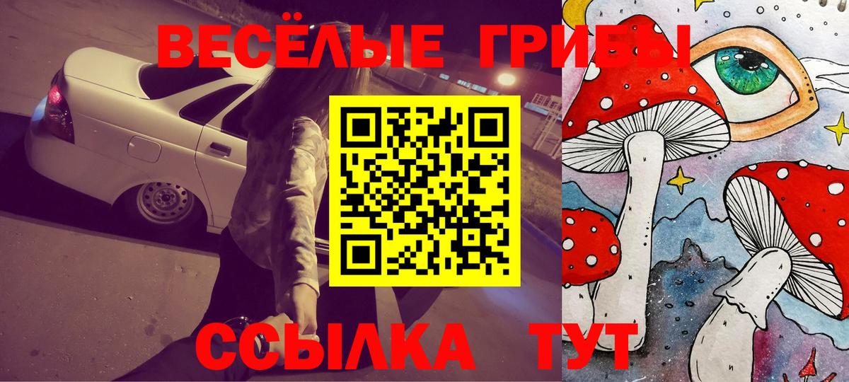 Галлюциногенные грибы мухоморы Саранск
