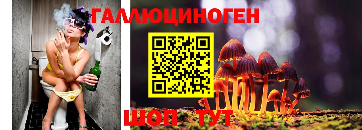 Галлюциногенные грибы GOLDEN TEACHER  Вход с VPN  Саранск 
